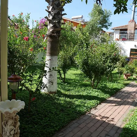 Otel Longhouse 2*