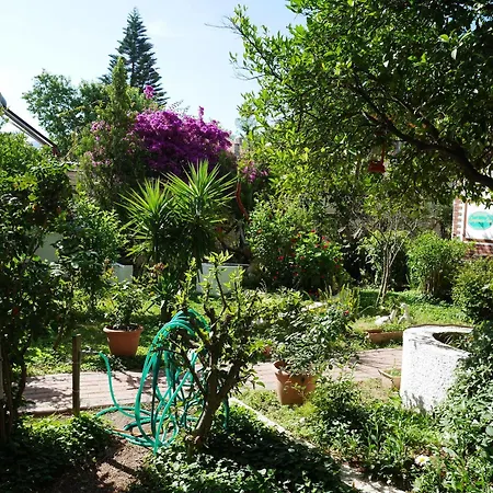 Longhouse 2* Dalyan